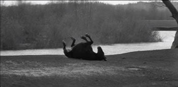 Andrei Rublev