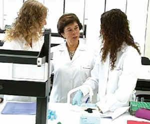 Investigación del cerebro
