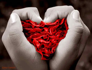 Acerca del amor humano