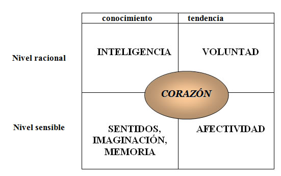 El lugar del ‘corazón’