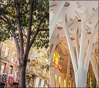 Gaudí, el hombre