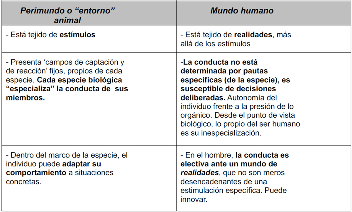 La inteligencia humana