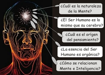 La neurociencia… ¿zombis o personas?