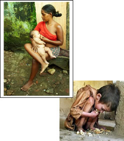 Las dimensiones del amor humano