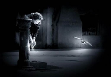 Ser humano y mundo animal