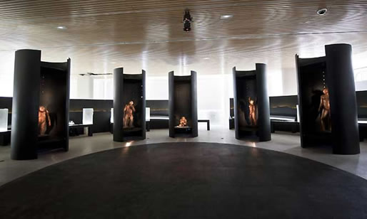 Museo de la Evolución Humana