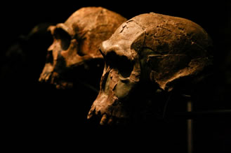 7. La evolución y Darwin