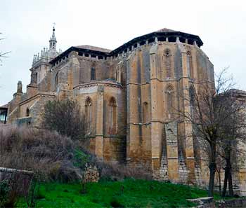 Támara de Campos