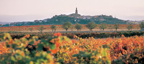 Visita al Museo de la Cultura del Vino
