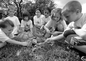 Algunas ideas para educar la responsabilidad en los niños