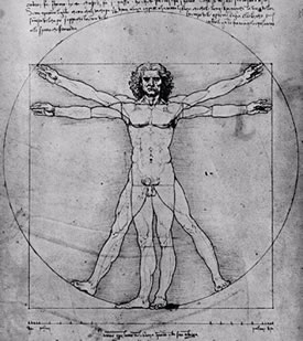 Homo Quadratus, Leonardo