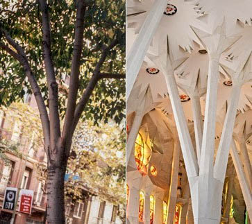 Gaudí - Reflexiones