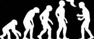 ¿Somos monos evolucionados...?