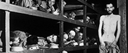 Víktor E. Frankl, un psicólogo en un campo de concentración
