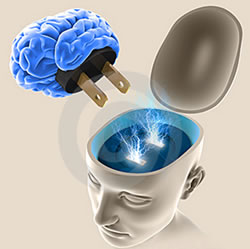 La capacidad del cerebro humano